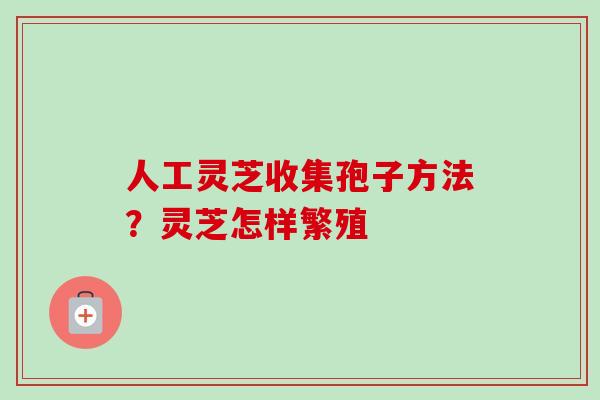 人工灵芝收集孢子方法?灵芝怎样繁殖-第1张图片-卓越灵芝孢子粉 人工灵芝收集孢子方法?灵芝怎样繁殖-第1张图片-卓越灵芝孢子粉