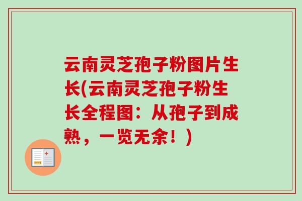 云南灵芝孢子粉图片生长(云南灵芝孢子粉生长全程图：从孢子到成熟，一览无余！)-第1张图片-卓越灵芝孢子粉