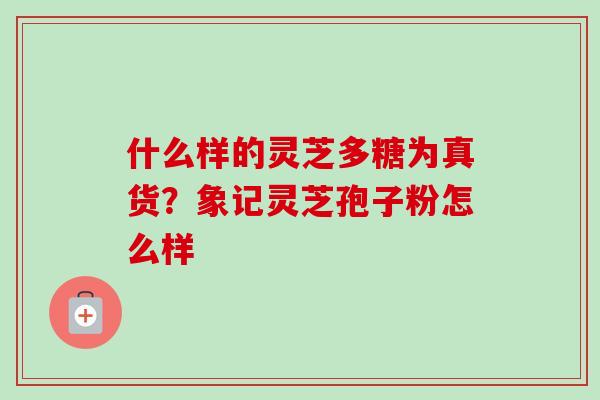 什么样的灵芝多糖为真货?象记灵芝孢子粉怎么样-第1张图片-卓越灵芝孢子粉 什么样的灵芝多糖为真货?象记灵芝孢子粉怎么样-第1张图片-卓越灵芝孢子粉