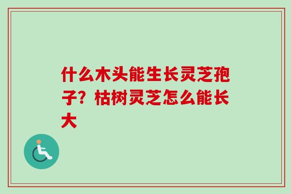 什么木头能生长灵芝孢子?枯树灵芝怎么能长大-第1张图片-卓越灵芝孢子粉 什么木头能生长灵芝孢子?枯树灵芝怎么能长大-第1张图片-卓越灵芝孢子粉