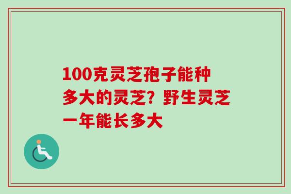 100克灵芝孢子能种多大的灵芝?野生灵芝一年能长多大-第1张图片-卓越灵芝孢子粉 100克灵芝孢子能种多大的灵芝?野生灵芝一年能长多大-第1张图片-卓越灵芝孢子粉