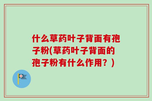 什么草药叶子背面有孢子粉(草药叶子背面的孢子粉有什么作用?)-第1张图片-卓越灵芝孢子粉 什么草药叶子背面有孢子粉(草药叶子背面的孢子粉有什么作用?)-第1张图片-卓越灵芝孢子粉
