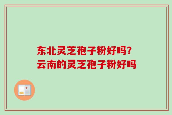 东北灵芝孢子粉好吗？云南的灵芝孢子粉好吗-第1张图片-卓越灵芝孢子粉