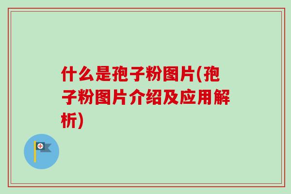 什么是孢子粉图片(孢子粉图片介绍及应用解析)-第1张图片-卓越灵芝孢子粉 什么是孢子粉图片(孢子粉图片介绍及应用解析)-第1张图片-卓越灵芝孢子粉