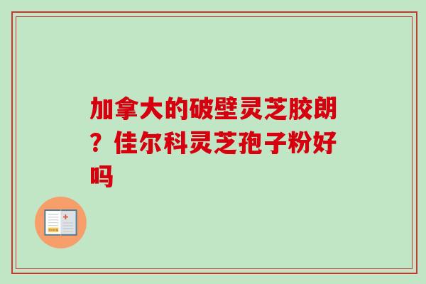加拿大的破壁灵芝胶朗？佳尔科灵芝孢子粉好吗-第1张图片-卓越灵芝孢子粉