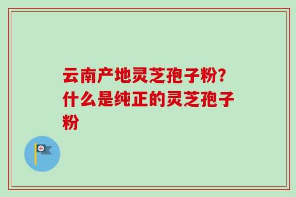 云南产地灵芝孢子粉?什么是纯正的灵芝孢子粉-第1张图片-卓越灵芝孢子粉 云南产地灵芝孢子粉?什么是纯正的灵芝孢子粉-第1张图片-卓越灵芝孢子粉