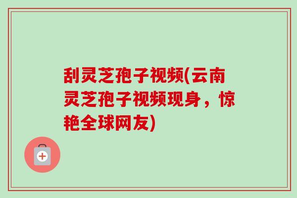 刮灵芝孢子视频(云南灵芝孢子视频现身,惊艳全球网友)-第1张图片-卓越灵芝孢子粉 刮灵芝孢子视频(云南灵芝孢子视频现身,惊艳全球网友)-第1张图片-卓越灵芝孢子粉