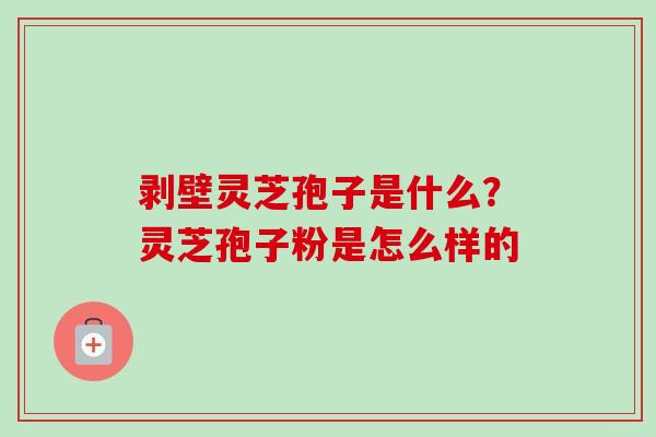 剥壁灵芝孢子是什么?灵芝孢子粉是怎么样的-第1张图片-卓越灵芝孢子粉 剥壁灵芝孢子是什么?灵芝孢子粉是怎么样的-第1张图片-卓越灵芝孢子粉