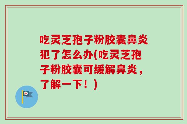 吃灵芝孢子粉胶囊鼻炎犯了怎么办(吃灵芝孢子粉胶囊可缓解鼻炎,了解一下!)-第1张图片-卓越灵芝孢子粉 吃灵芝孢子粉胶囊鼻炎犯了怎么办(吃灵芝孢子粉胶囊可缓解鼻炎,了解一下!)-第1张图片-卓越灵芝孢子粉