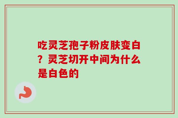 吃灵芝孢子粉皮肤变白?灵芝切开中间为什么是白色的-第1张图片-卓越灵芝孢子粉 吃灵芝孢子粉皮肤变白?灵芝切开中间为什么是白色的-第1张图片-卓越灵芝孢子粉