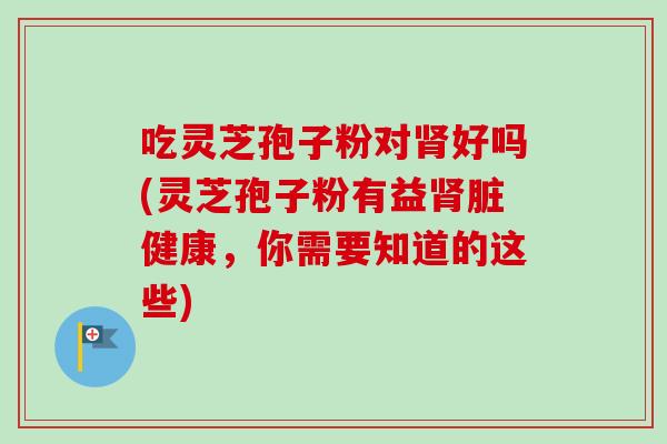 吃灵芝孢子粉对肾好吗(灵芝孢子粉有益肾脏健康,你需要知道的这些)-第1张图片-卓越灵芝孢子粉 吃灵芝孢子粉对肾好吗(灵芝孢子粉有益肾脏健康,你需要知道的这些)-第1张图片-卓越灵芝孢子粉