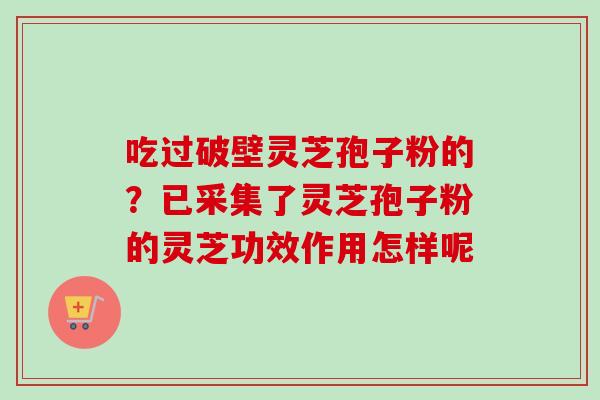 吃过破壁灵芝孢子粉的?已采集了灵芝孢子粉的灵芝功效作用怎样呢-第1张图片-卓越灵芝孢子粉 吃过破壁灵芝孢子粉的?已采集了灵芝孢子粉的灵芝功效作用怎样呢-第1张图片-卓越灵芝孢子粉