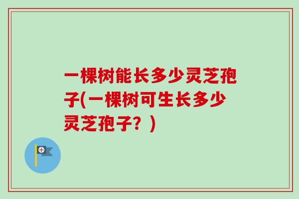 一棵树能长多少灵芝孢子(一棵树可生长多少灵芝孢子？)-第1张图片-卓越灵芝孢子粉