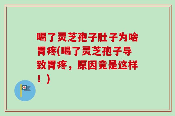 喝了灵芝孢子肚子为啥胃疼(喝了灵芝孢子导致胃疼,原因竟是这样!)-第1张图片-卓越灵芝孢子粉 喝了灵芝孢子肚子为啥胃疼(喝了灵芝孢子导致胃疼,原因竟是这样!)-第1张图片-卓越灵芝孢子粉