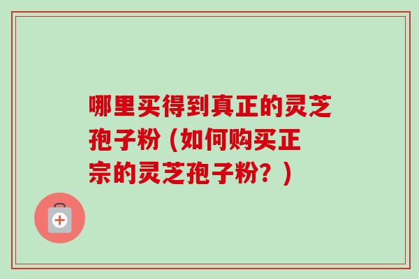 哪里买得到真正的灵芝孢子粉 (如何购买正宗的灵芝孢子粉?)-第1张图片-卓越灵芝孢子粉 哪里买得到真正的灵芝孢子粉 (如何购买正宗的灵芝孢子粉?)-第1张图片-卓越灵芝孢子粉