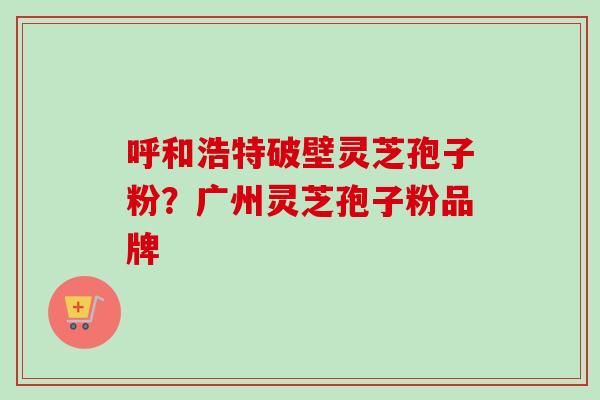 呼和浩特破壁灵芝孢子粉？广州灵芝孢子粉品牌-第1张图片-卓越灵芝孢子粉