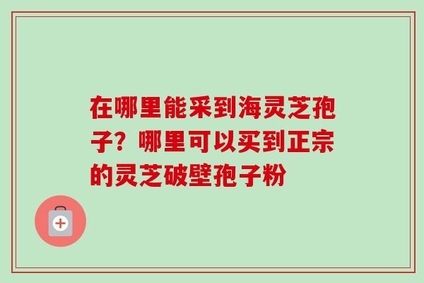 在哪里能采到海灵芝孢子?哪里可以买到正宗的灵芝破壁孢子粉-第1张图片-卓越灵芝孢子粉 在哪里能采到海灵芝孢子?哪里可以买到正宗的灵芝破壁孢子粉-第1张图片-卓越灵芝孢子粉