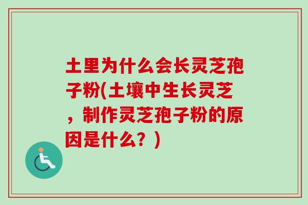 土里为什么会长灵芝孢子粉(土壤中生长灵芝,制作灵芝孢子粉的原因是什么?)-第1张图片-卓越灵芝孢子粉 土里为什么会长灵芝孢子粉(土壤中生长灵芝,制作灵芝孢子粉的原因是什么?)-第1张图片-卓越灵芝孢子粉