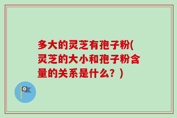 多大的灵芝有孢子粉(灵芝的大小和孢子粉含量的关系是什么？)-第1张图片-卓越灵芝孢子粉