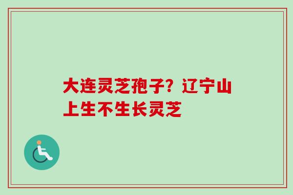 大连灵芝孢子?辽宁山上生不生长灵芝-第1张图片-卓越灵芝孢子粉 大连灵芝孢子?辽宁山上生不生长灵芝-第1张图片-卓越灵芝孢子粉