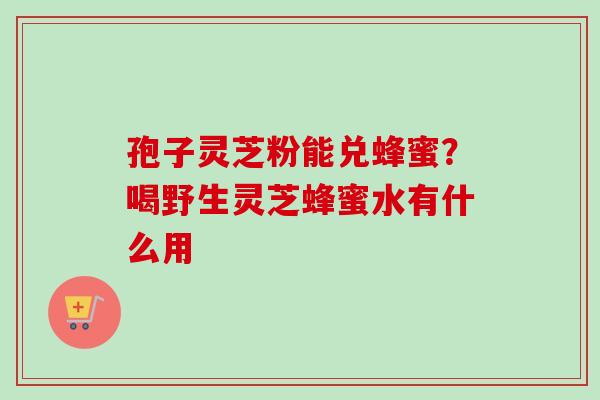 孢子灵芝粉能兑蜂蜜？喝野生灵芝蜂蜜水有什么用-第1张图片-卓越灵芝孢子粉