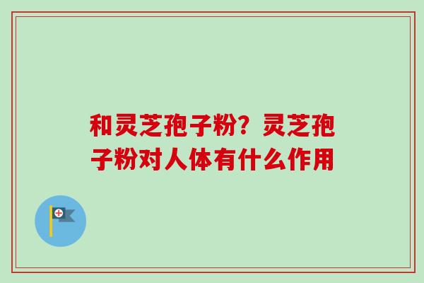 和灵芝孢子粉?灵芝孢子粉对人体有什么作用-第1张图片-卓越灵芝孢子粉 和灵芝孢子粉?灵芝孢子粉对人体有什么作用-第1张图片-卓越灵芝孢子粉