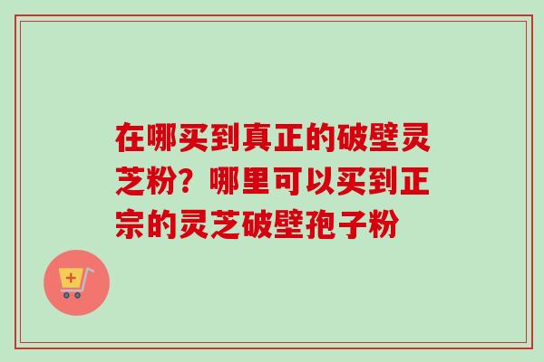 在哪买到真正的破壁灵芝粉?哪里可以买到正宗的灵芝破壁孢子粉-第1张图片-卓越灵芝孢子粉 在哪买到真正的破壁灵芝粉?哪里可以买到正宗的灵芝破壁孢子粉-第1张图片-卓越灵芝孢子粉