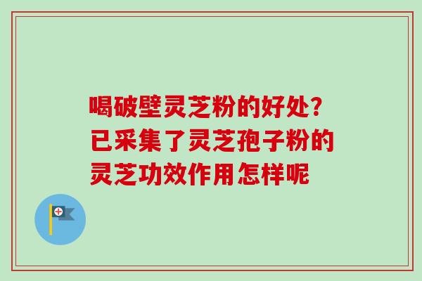 喝破壁灵芝粉的好处？已采集了灵芝孢子粉的灵芝功效作用怎样呢-第1张图片-卓越灵芝孢子粉