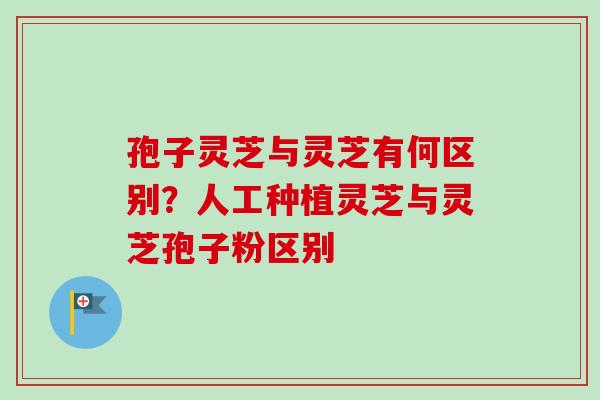 孢子灵芝与灵芝有何区别?人工种植灵芝与灵芝孢子粉区别-第1张图片-卓越灵芝孢子粉 孢子灵芝与灵芝有何区别?人工种植灵芝与灵芝孢子粉区别-第1张图片-卓越灵芝孢子粉