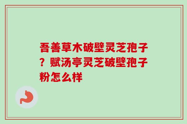 吾善草木破壁灵芝孢子?赋汤亭灵芝破壁孢子粉怎么样-第1张图片-卓越灵芝孢子粉 吾善草木破壁灵芝孢子?赋汤亭灵芝破壁孢子粉怎么样-第1张图片-卓越灵芝孢子粉