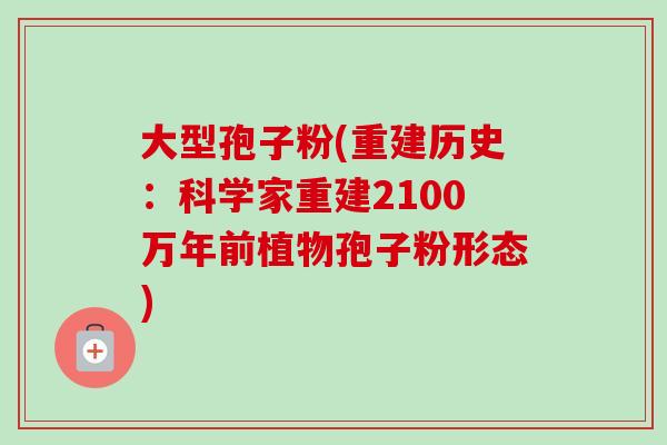 大型孢子粉(重建历史：科学家重建2100万年前植物孢子粉形态)-第1张图片-卓越灵芝孢子粉