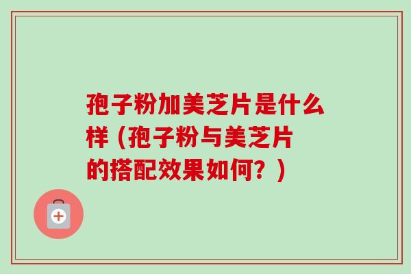 孢子粉加美芝片是什么样 (孢子粉与美芝片的搭配效果如何？)-第1张图片-卓越灵芝孢子粉