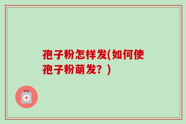 孢子粉怎样发(如何使孢子粉萌发?)-第1张图片-卓越灵芝孢子粉 孢子粉怎样发(如何使孢子粉萌发?)-第1张图片-卓越灵芝孢子粉
