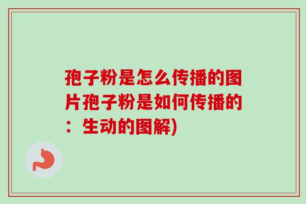 孢子粉是怎么传播的图片孢子粉是如何传播的：生动的图解)-第1张图片-卓越灵芝孢子粉