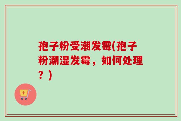 孢子粉受潮发霉(孢子粉潮湿发霉,如何处理?)-第1张图片-卓越灵芝孢子粉 孢子粉受潮发霉(孢子粉潮湿发霉,如何处理?)-第1张图片-卓越灵芝孢子粉