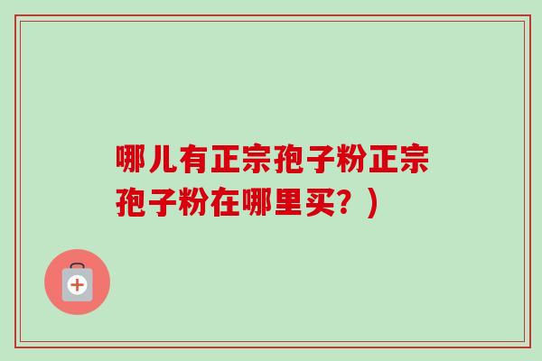 哪儿有正宗孢子粉正宗孢子粉在哪里买？)-第1张图片-卓越灵芝孢子粉