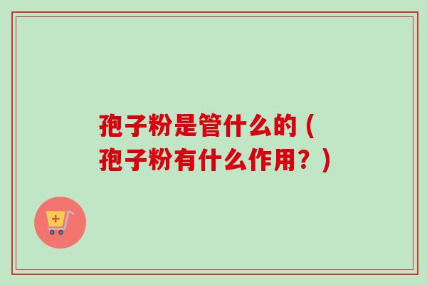 孢子粉是管什么的 (孢子粉有什么作用?)-第1张图片-卓越灵芝孢子粉 孢子粉是管什么的 (孢子粉有什么作用?)-第1张图片-卓越灵芝孢子粉