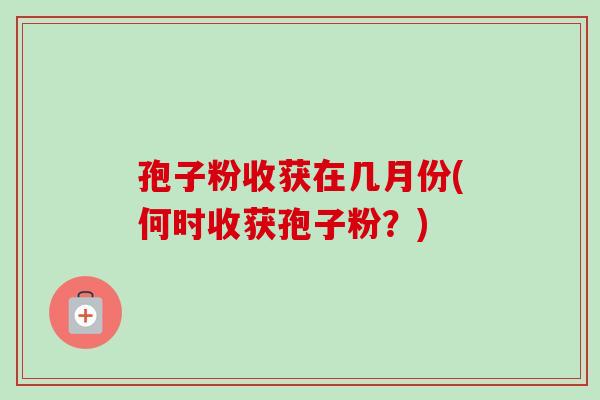 孢子粉收获在几月份(何时收获孢子粉？)-第1张图片-卓越灵芝孢子粉