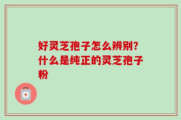 好灵芝孢子怎么辨别？什么是纯正的灵芝孢子粉-第1张图片-卓越灵芝孢子粉