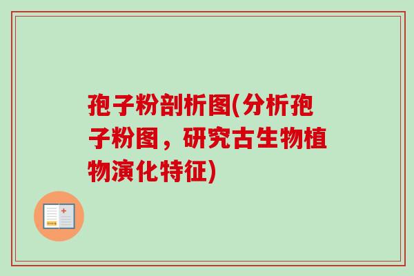 孢子粉剖析图(分析孢子粉图,研究古生物植物演化特征)-第1张图片-卓越灵芝孢子粉 孢子粉剖析图(分析孢子粉图,研究古生物植物演化特征)-第1张图片-卓越灵芝孢子粉