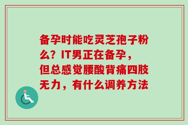 备孕时能吃灵芝孢子粉么?IT男正在备孕,但总感觉腰酸背痛四肢无力,有什么调养方法-第1张图片-卓越灵芝孢子粉 备孕时能吃灵芝孢子粉么?IT男正在备孕,但总感觉腰酸背痛四肢无力,有什么调养方法-第1张图片-卓越灵芝孢子粉