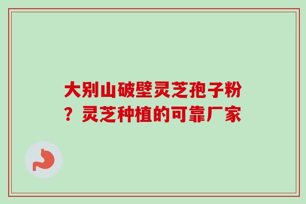 大别山破壁灵芝孢子粉？灵芝种植的可靠厂家-第1张图片-卓越灵芝孢子粉