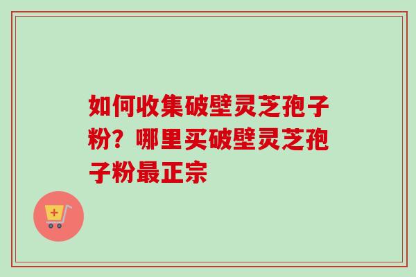 如何收集破壁灵芝孢子粉?哪里买破壁灵芝孢子粉最正宗-第1张图片-卓越灵芝孢子粉 如何收集破壁灵芝孢子粉?哪里买破壁灵芝孢子粉最正宗-第1张图片-卓越灵芝孢子粉