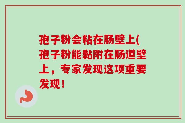 孢子粉会粘在肠壁上(孢子粉能黏附在肠道壁上，专家发现这项重要发现！-第1张图片-卓越灵芝孢子粉