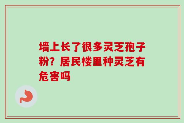 墙上长了很多灵芝孢子粉?居民楼里种灵芝有危害吗-第1张图片-卓越灵芝孢子粉 墙上长了很多灵芝孢子粉?居民楼里种灵芝有危害吗-第1张图片-卓越灵芝孢子粉