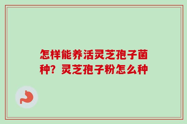 怎样能养活灵芝孢子菌种?灵芝孢子粉怎么种-第1张图片-卓越灵芝孢子粉 怎样能养活灵芝孢子菌种?灵芝孢子粉怎么种-第1张图片-卓越灵芝孢子粉