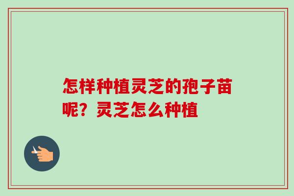 怎样种植灵芝的孢子苗呢？灵芝怎么种植-第1张图片-卓越灵芝孢子粉