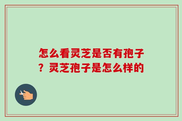 怎么看灵芝是否有孢子?灵芝孢子是怎么样的-第1张图片-卓越灵芝孢子粉 怎么看灵芝是否有孢子?灵芝孢子是怎么样的-第1张图片-卓越灵芝孢子粉