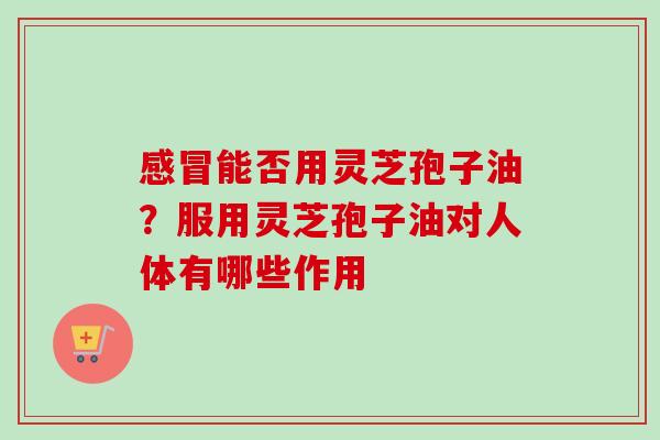 感冒能否用灵芝孢子油？服用灵芝孢子油对人体有哪些作用-第1张图片-卓越灵芝孢子粉