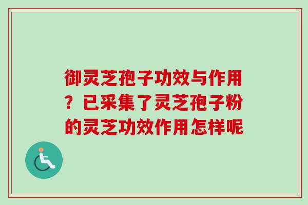 御灵芝孢子功效与作用?已采集了灵芝孢子粉的灵芝功效作用怎样呢-第1张图片-卓越灵芝孢子粉 御灵芝孢子功效与作用?已采集了灵芝孢子粉的灵芝功效作用怎样呢-第1张图片-卓越灵芝孢子粉